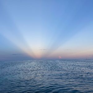 Meet your Posher, Mateja